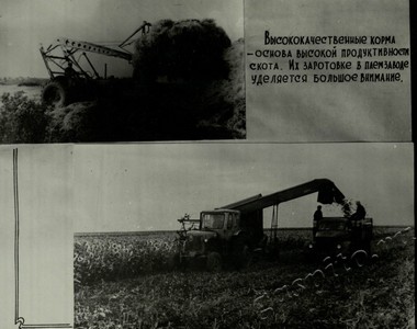 Подробнее о статье Ед.хр. 75, Л. 20.