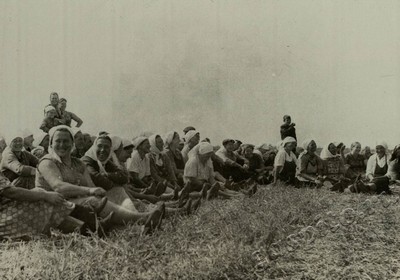 Подробнее о статье Ед.хр. 79, Ед.уч. 8.