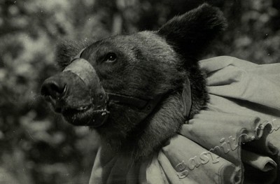 Подробнее о статье Ед.хр. 80, Ед.уч. 69.