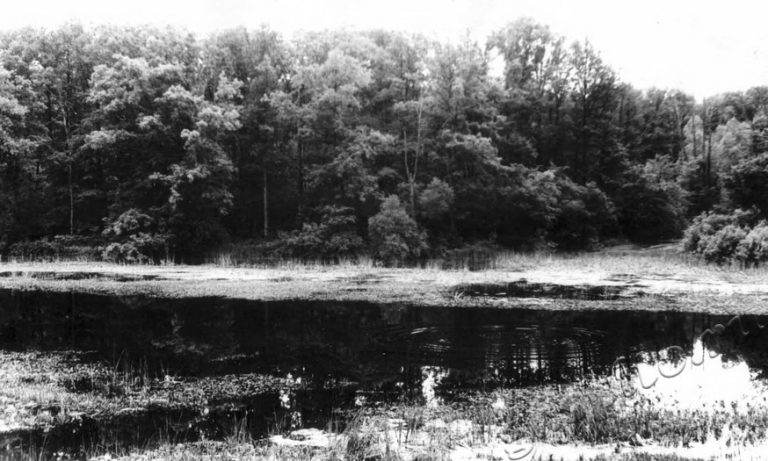 Подробнее о статье Ед.хр. 66