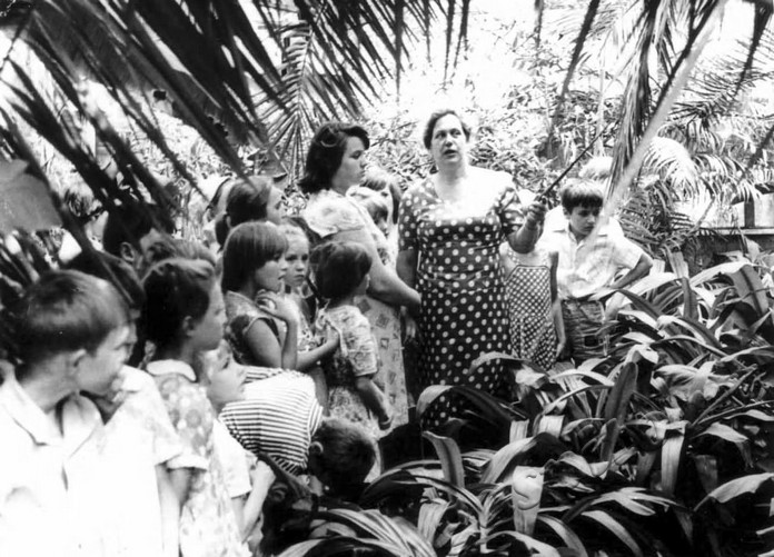 Подробнее о статье Ед.хр. 272