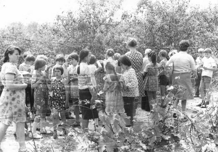 Подробнее о статье Ед.хр. 273