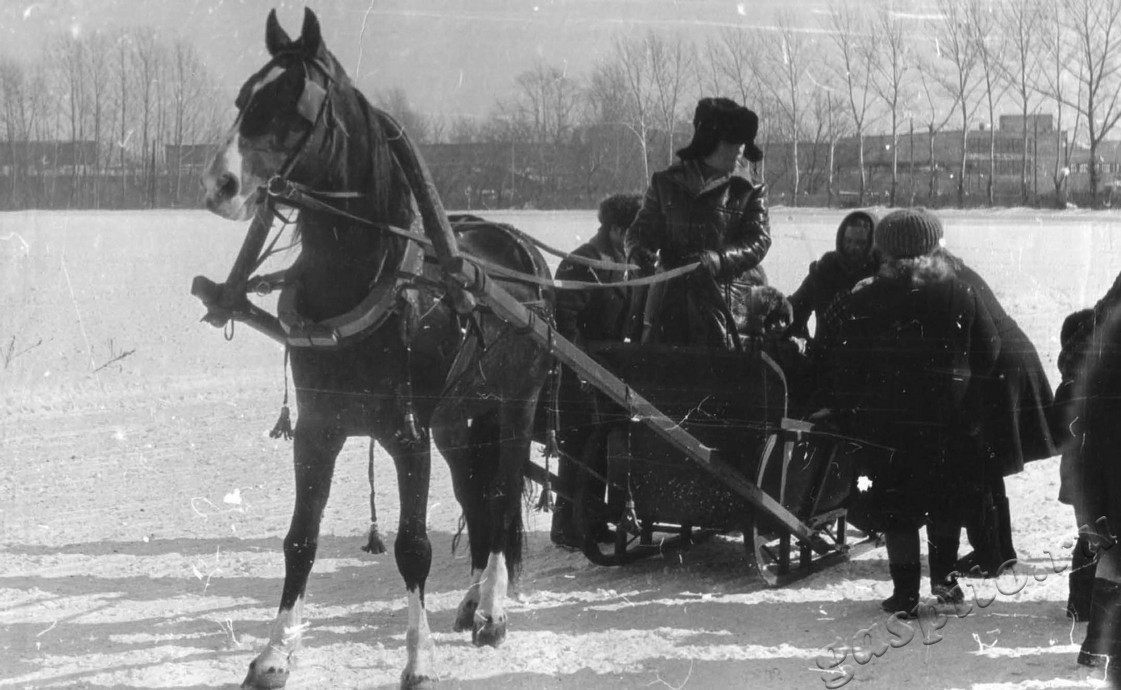 Подробнее о статье Ед.хр. 281