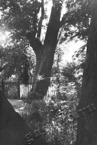 Подробнее о статье Ед.хр. 291