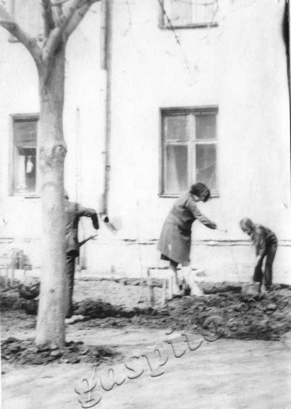 Подробнее о статье Ед.хр. 297