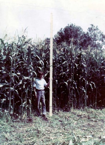 Подробнее о статье Ед.хр. 427