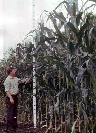 Подробнее о статье Ед.хр. 428