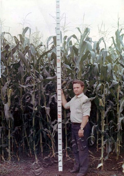 Подробнее о статье Ед.хр. 429