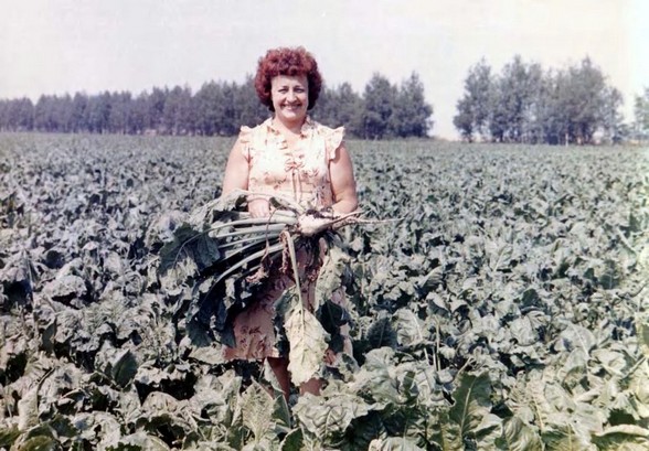 Подробнее о статье Ед.хр. 446