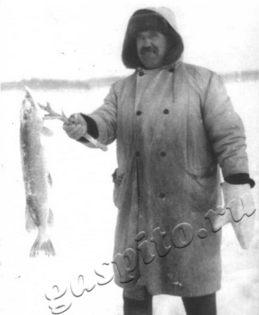 Подробнее о статье Ед.хр. 628