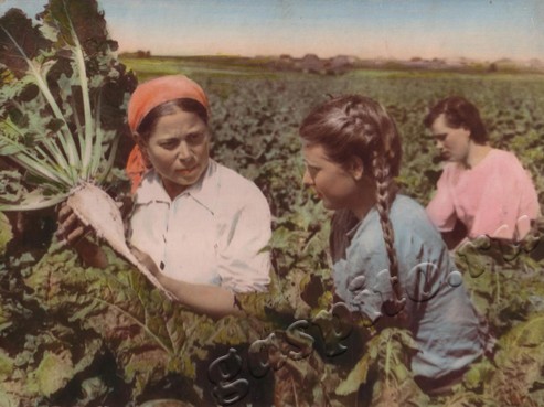 Подробнее о статье Ед.хр. 855