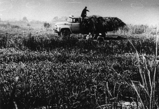 Подробнее о статье Ед.хр. 872