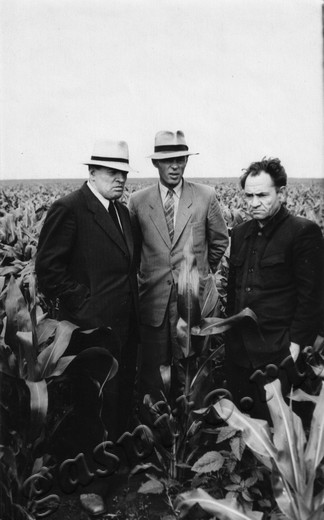 Подробнее о статье Ед.хр. 1744