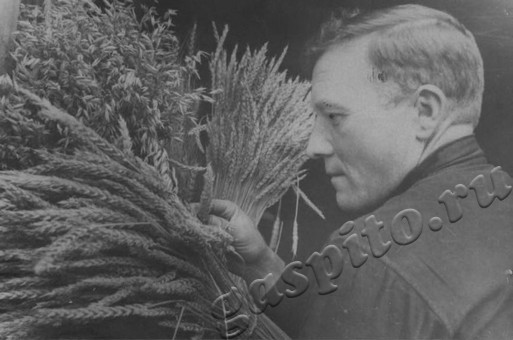 Подробнее о статье Ед.хр. 1823