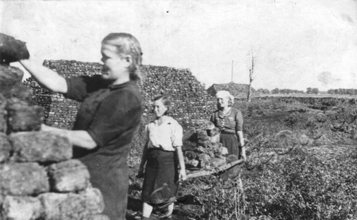 Подробнее о статье Ед.хр. 1973