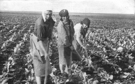 Подробнее о статье Ед.хр. 1983