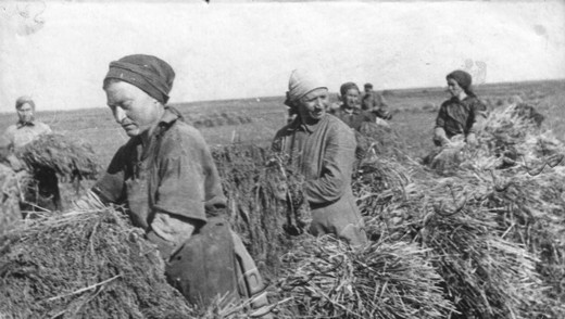 Подробнее о статье Ед.хр. 1984