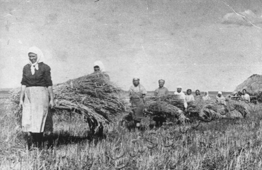 Подробнее о статье Ед.хр. 1987