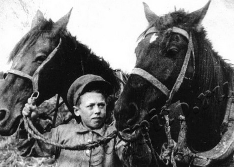 Подробнее о статье Ед.хр. 1988