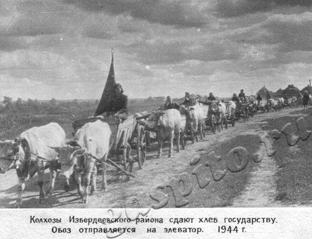 Подробнее о статье Ед.хр. 1989