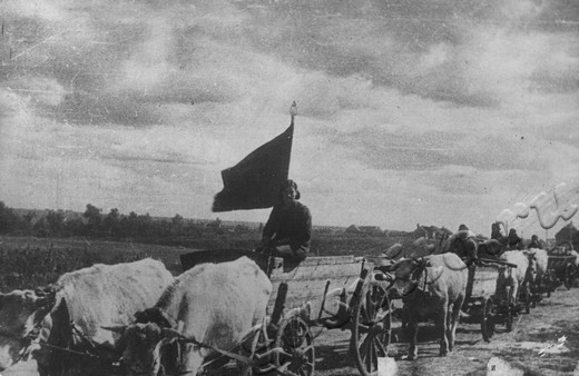 Подробнее о статье Ед.хр. 1990