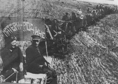 Подробнее о статье Ед.хр. 1991