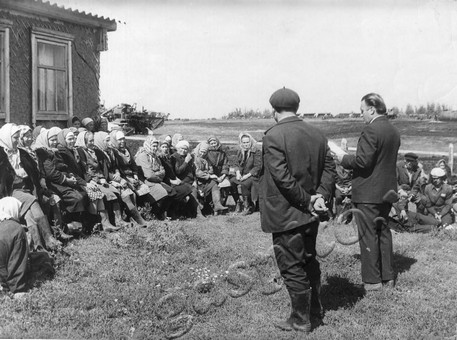 Подробнее о статье Ед.хр. 1993