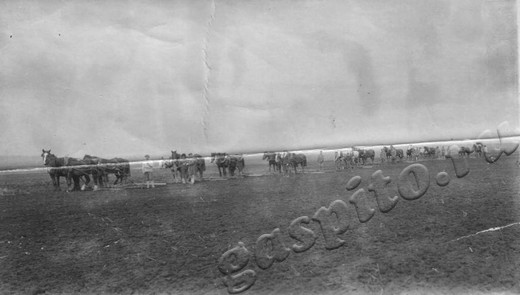 Подробнее о статье Ед.хр. 1994