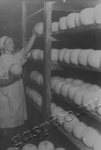 Подробнее о статье Ед.хр. 1998