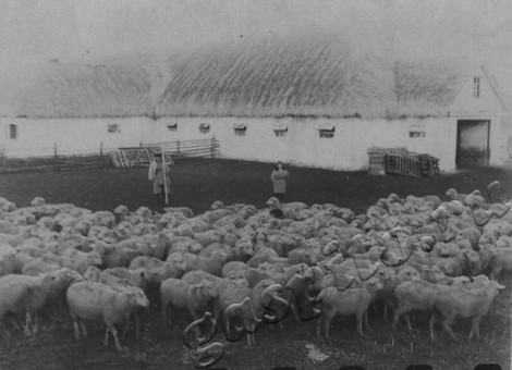 Подробнее о статье Ед.хр. 2001