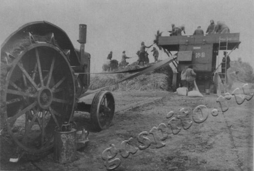 Подробнее о статье Ед.хр. 2003