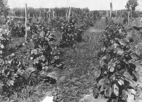 Подробнее о статье Ед.хр. 2008