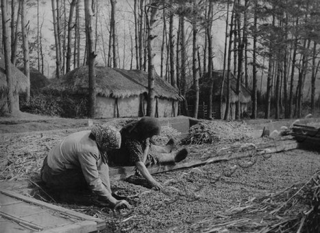 Подробнее о статье Ед.хр. 2009