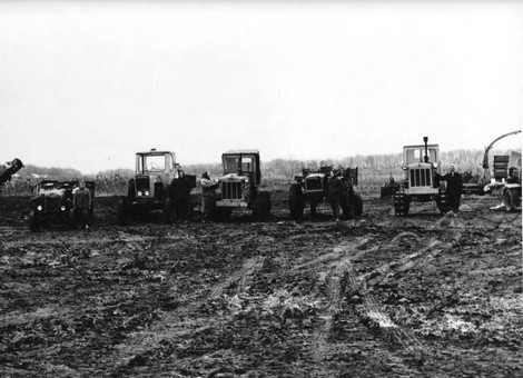 Подробнее о статье Ед.хр. 2016